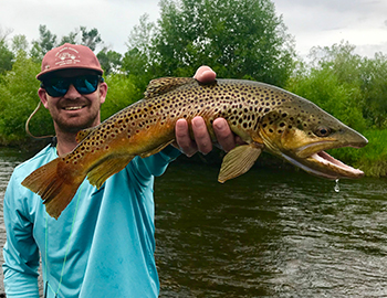 Fly Fishing Trips by Aspen Trout Guides