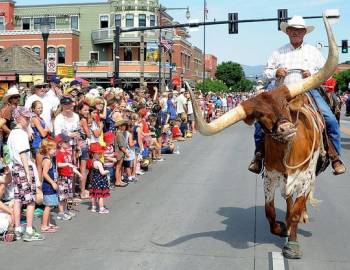 cowboy, bull, parade