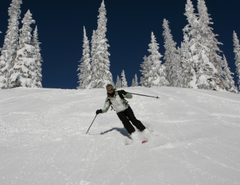skier going down a run, with trees in background