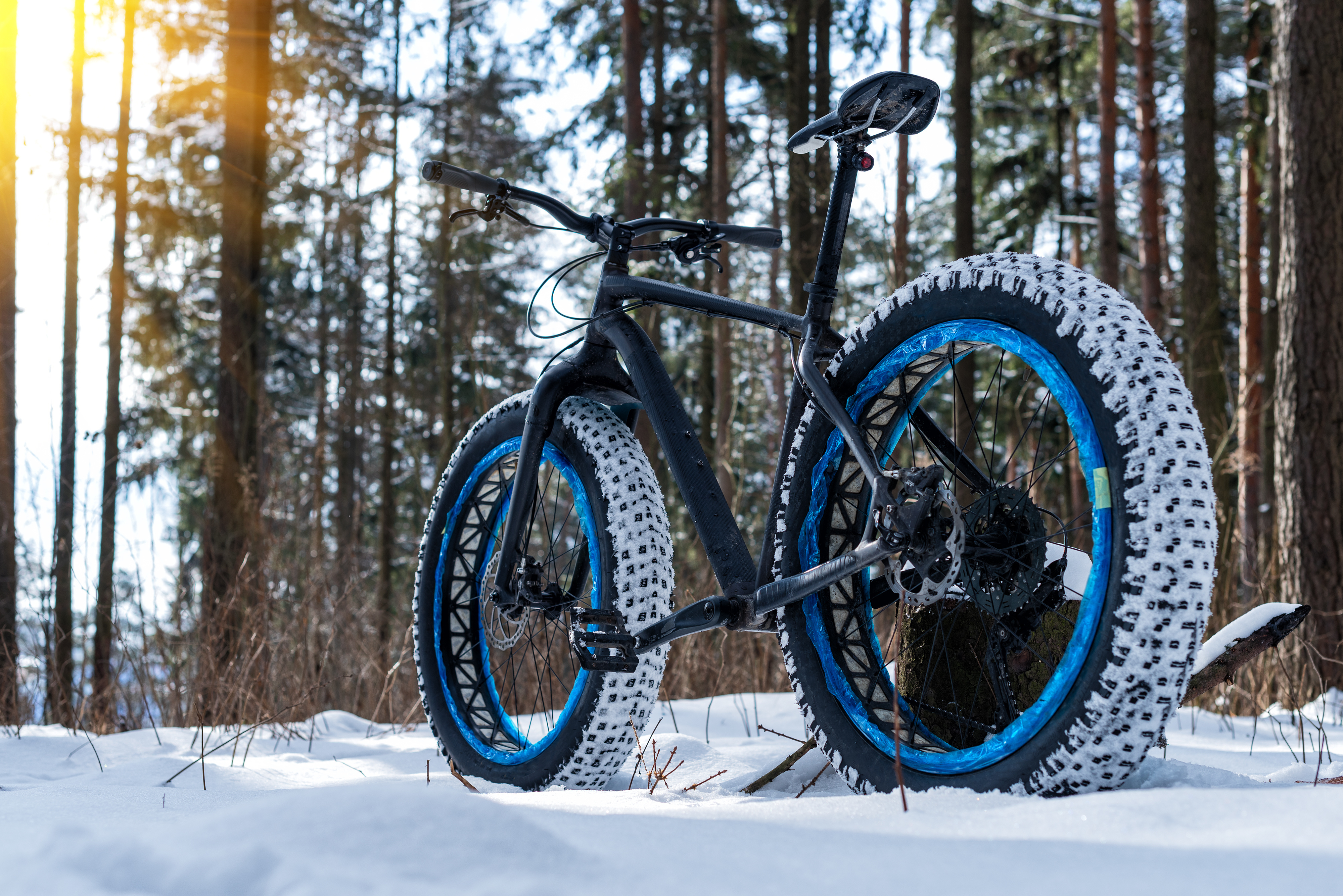 Fat Bikes by Retreatia Vacation Rentals