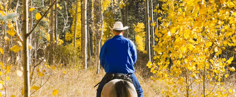 fall horseback riding among aspen trees