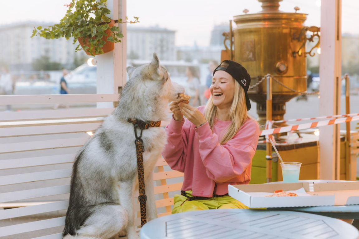 The Most Pet-Friendly Spots in Steamboat Springs, CO